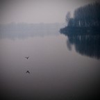 Il grande fiume a Piacenza