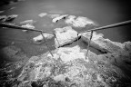 b/w scape b/w scape