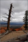 Bryce Canyon