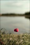 Sound of silence Sound of silence