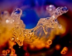 Le forme dell'acqua Le forme dell'acqua
