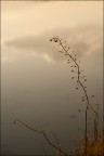 ...nell'ultima luce.