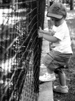 Gioco curioso Gioco curioso