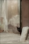Un nero piccolo incontro..