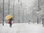 Spesa invernale Spesa invernale