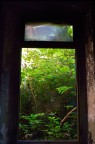 Garden Garden