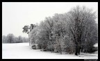 al parco dopo una nevicata al parco dopo una nevicata