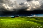 Storm Storm