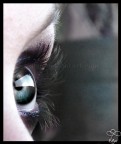 keeping an eye on you.... keeping an eye on you....