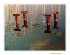 I chiodi...nell'acqua I chiodi...nell'acqua