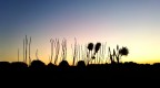 Al tramonto Al tramonto