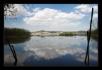 Lago! Lago!