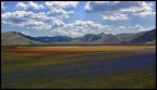 Castelluccio di Norcia