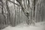ricami di vento e neve ricami di vento e neve