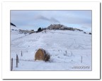 Inverno a Castelluccio Inverno a Castelluccio