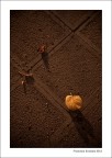 L'Equilibrista