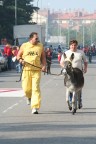 Corsa degli asini Corsa degli asini