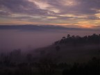 nebbiolina nebbiolina