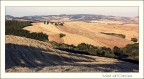 senza focale lunga si fa quel che si può :-) senza focale lunga si fa quel che si può :-)