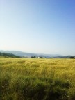 Una passeggiata in campagna... Una passeggiata in campagna...