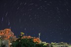 Questo scatto � un primo esperimento di "star trails" fatto dal terrazzo di casa. Sono in totale 30 foto che immortalano il cielo notturno e sulla sinistra una parte del Monte Pizzo (o Castello) di Caltabellotta.