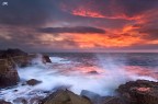 The power of nature The power of nature