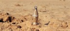 enjoy CocaCola enjoy CocaCola