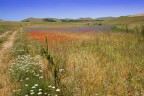 Castelluccio #2 Castelluccio #2