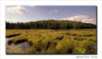 Algonquin Park - CANADA Algonquin Park - CANADA