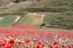 CASTELLUCCIO DI NORCIA