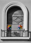 Colori dell'arcobaleno Colori dell'arcobaleno