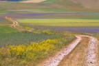 castelluccio #6 castelluccio #6