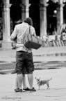 Venice dog - 1 Venice dog - 1