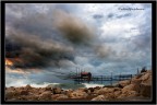 flurry in the sea .. flurry in the sea ..