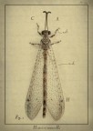 Histoire naturelle