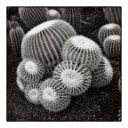 Giardino botanico La Cutura