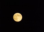 The Dark Side of Moon The Dark Side of Moon