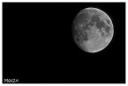 Selene x2 Selene x2