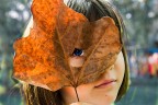 Fatina d'autunno Fatina d'autunno
