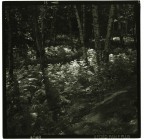 Luce e penombra Luce e penombra