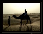 una passeggiata nel deserto una passeggiata nel deserto