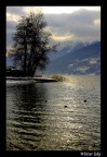Winter lake Winter lake