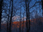 ..Tramonto Nevoso.. ..Tramonto Nevoso..