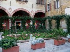 Chi il più veloce?... Chi il più veloce?...