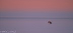 L'uomo e il mare L'uomo e il mare