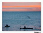 Svegli all'alba .......... Svegli all'alba ..........