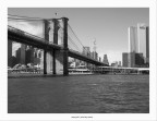 nyc bridge nyc bridge