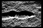 Neve-luna Neve-luna