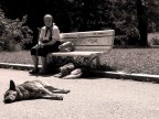 Solitudine Solitudine