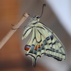 Una Prospettiva Diversa...!!!